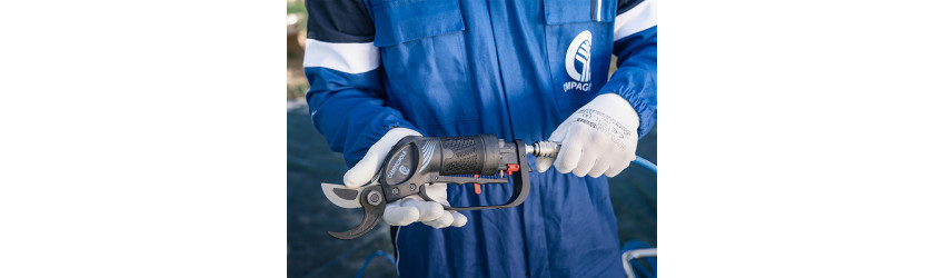 Ferramenta Pneumática Profissional para Azeitonas