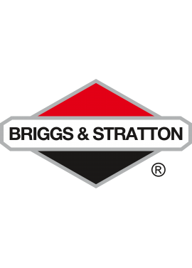 Briggs & Stratton